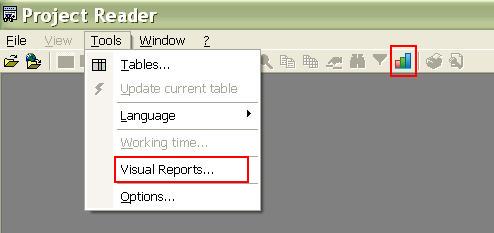 Opening Visual Report Window